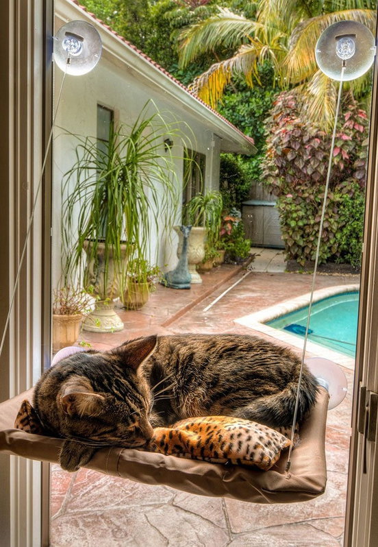 Katzen Schlafplatz Liege Katzenliege Fensterliege